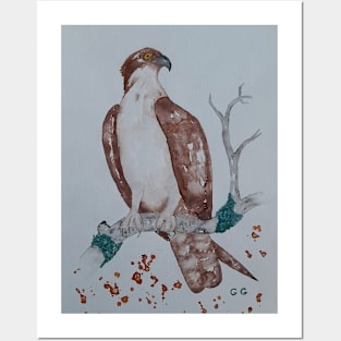 Eagle painting, bird art, bird painting Posters and Art